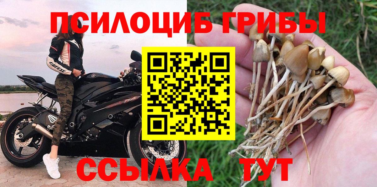 Иркутск  Псилоцибиновые грибы мухоморы  Вход с VPN 
