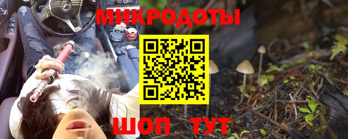 Галлюциногенные грибы Cubensis Иркутск